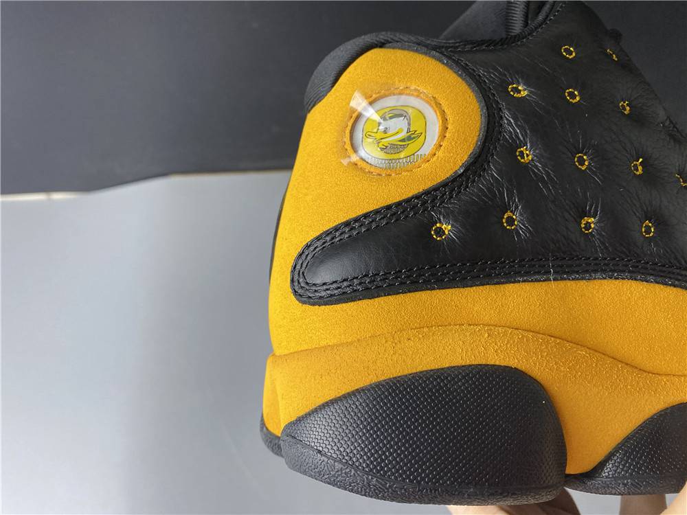 Air Jordan 13